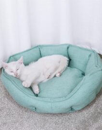 only-25-17-usd-for-buddy-round-comfy-pet-cushion-bed-online-at-the-shop_0.jpg