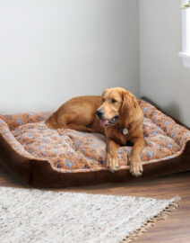 only-29-37-usd-for-benji-corduroy-padded-pet-bed-online-at-the-shop_0.jpg