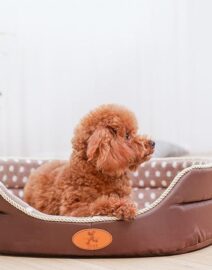 only-34-47-usd-for-susie-double-sided-fleece-pet-bed-online-at-the-shop_1.jpg