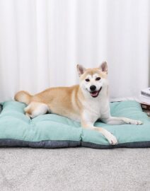 only-36-57-usd-for-cooper-luxury-cushion-pet-bed-online-at-the-shop_0.jpg
