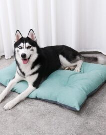 only-36-57-usd-for-cooper-luxury-cushion-pet-bed-online-at-the-shop_1.jpg