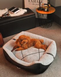 only-44-97-usd-for-ace-luxury-nest-pet-bed-online-at-the-shop_0.jpg